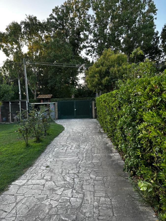 Fiumicino Airport 3 Giade Apartman Focene Kültér fotó